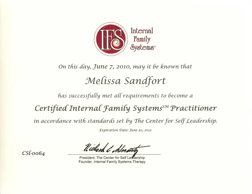 IFS certification