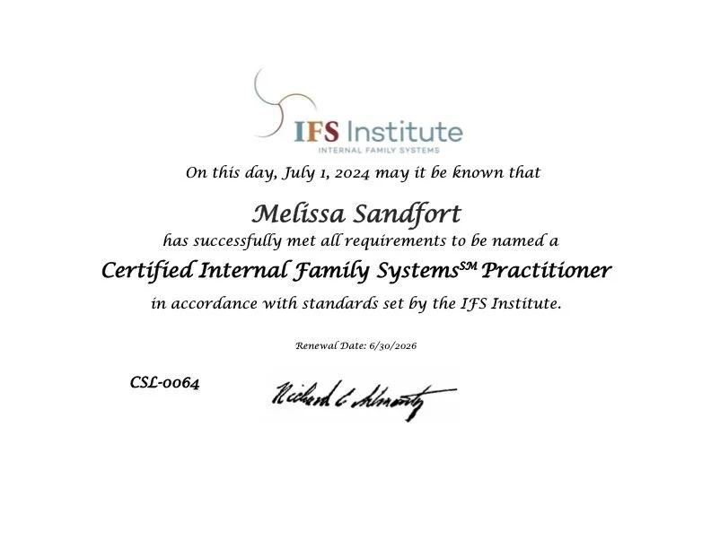 IFS certification certificate