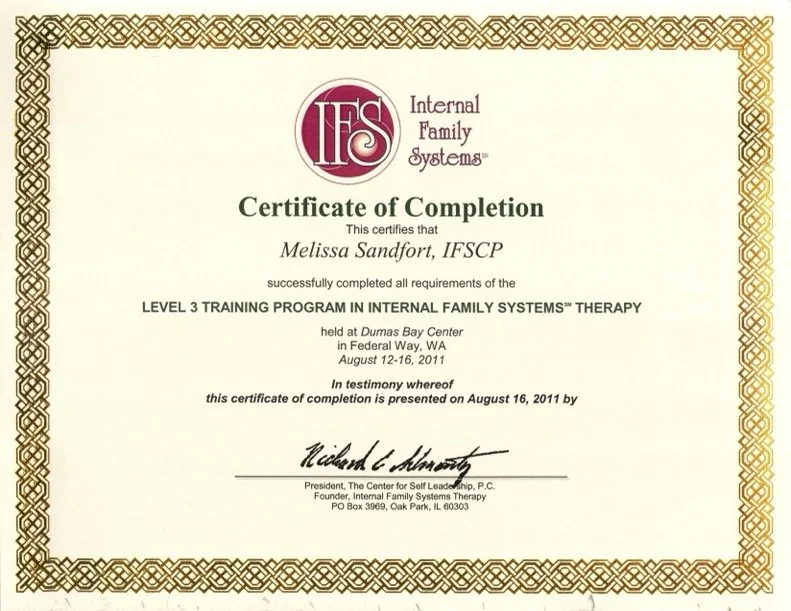 IFS Level 3 training certificate