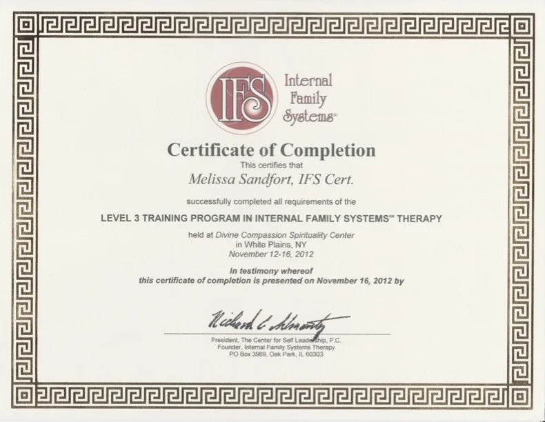 IFS Level 3 training certificate