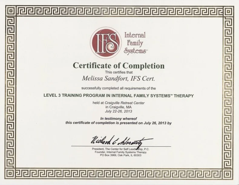 IFS Level 3 training certificate