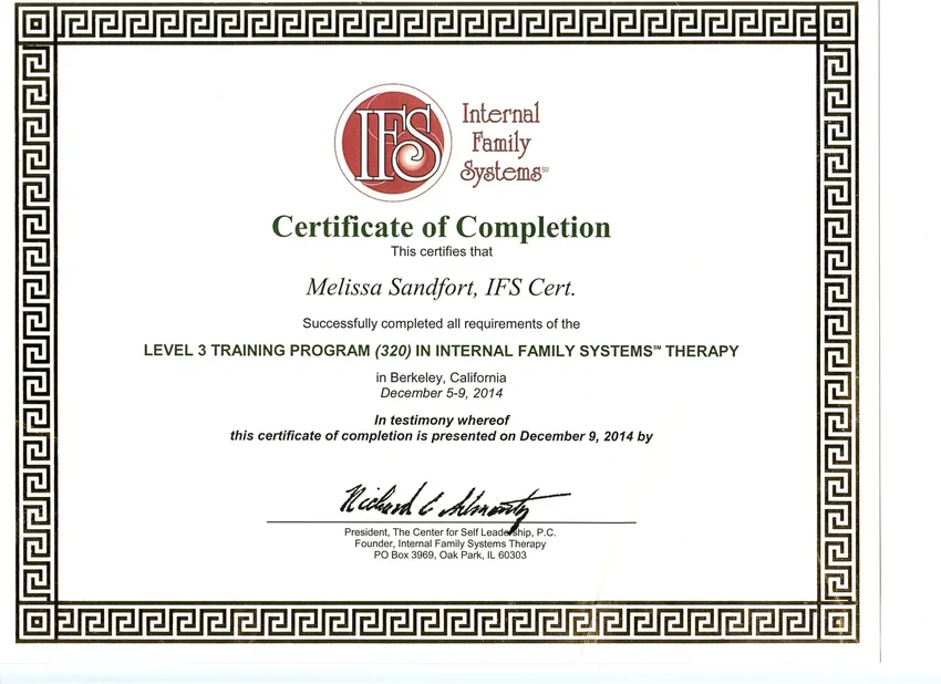 IFS Level 3 training certificate
