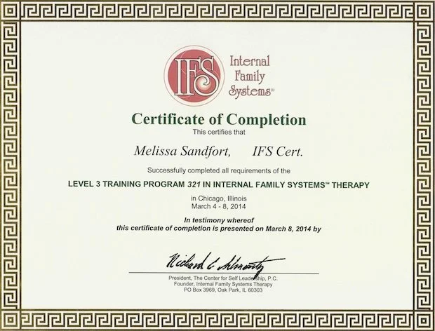 IFS Level 3 training certificate