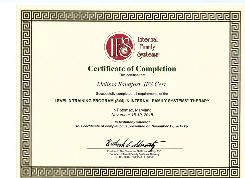 IFS Level 3 training certificate