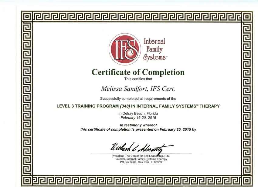 IFS Level 3 training certificate