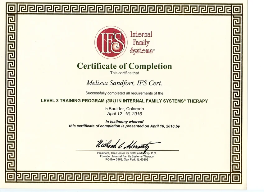 IFS Level 3 training certificate