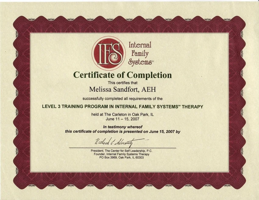 IFS Level 3 training certificate