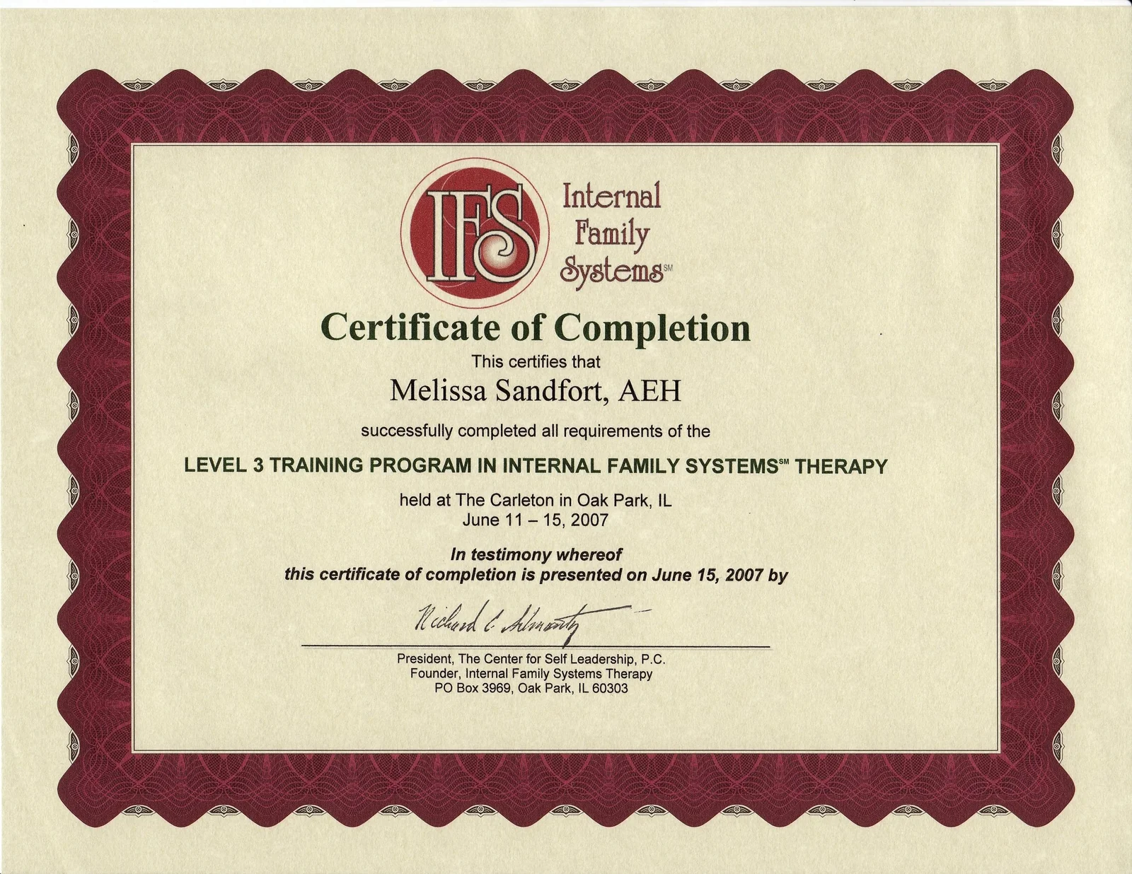 IFS Level 3 training certificate