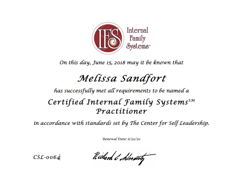 IFS certification certificate