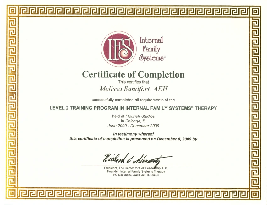 IFS training