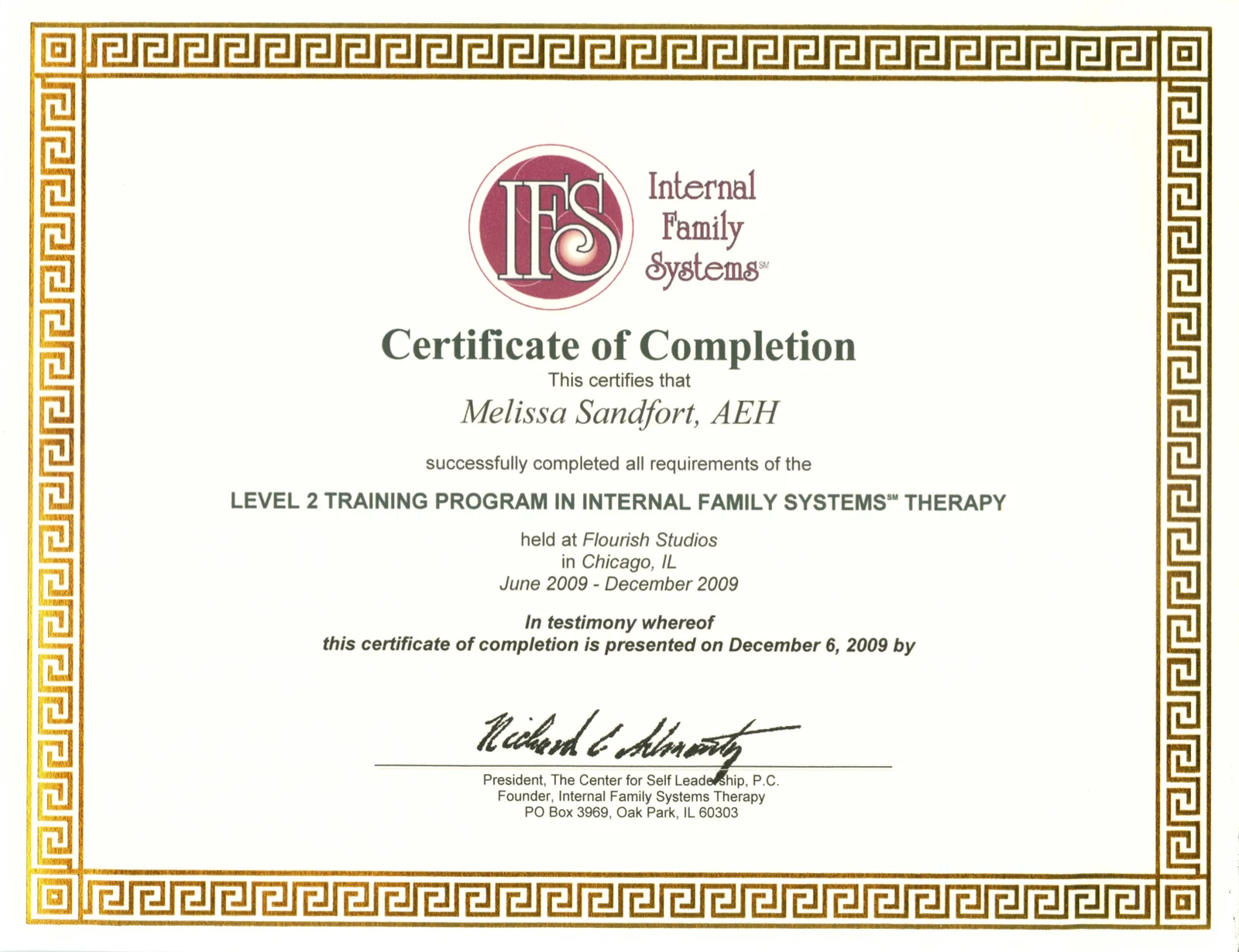 IFS training