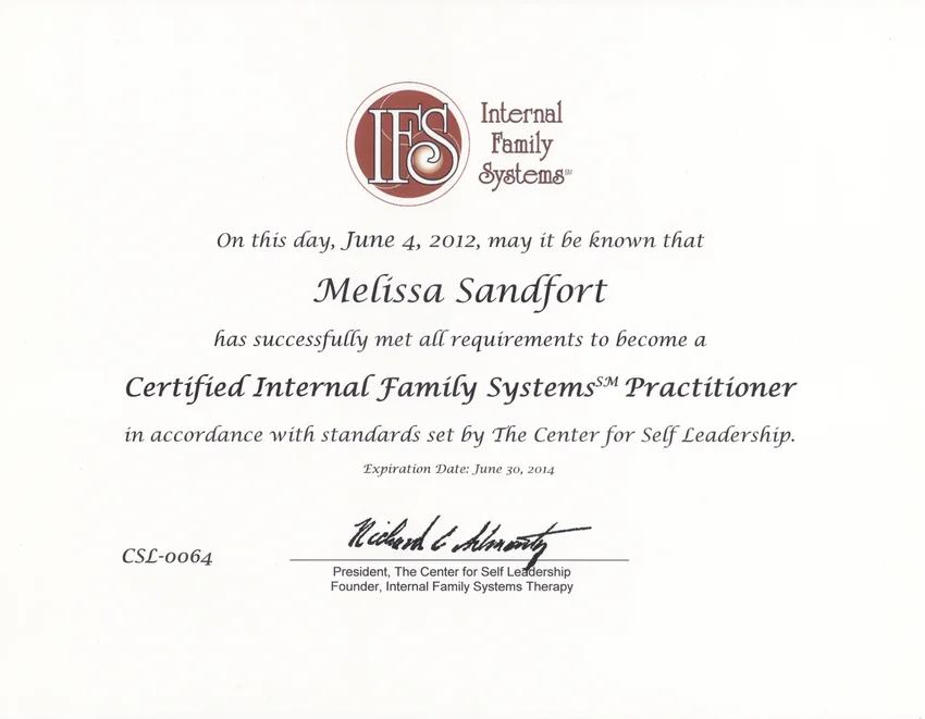 IFS certification