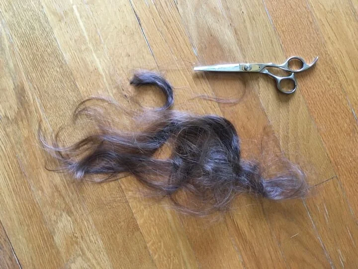 massive clump of hair cut off.jpg